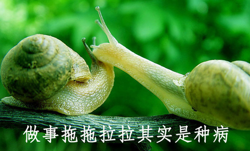 拒絕拖延從今天開始，明天會(huì)更好(圖4)