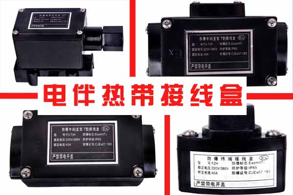 電伴熱帶接線(xiàn)盒 電伴熱帶接線(xiàn)盒